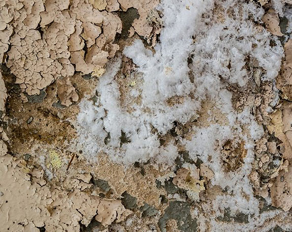 Remontées d'humidité - Salpêtre